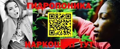 крисы Новозыбков