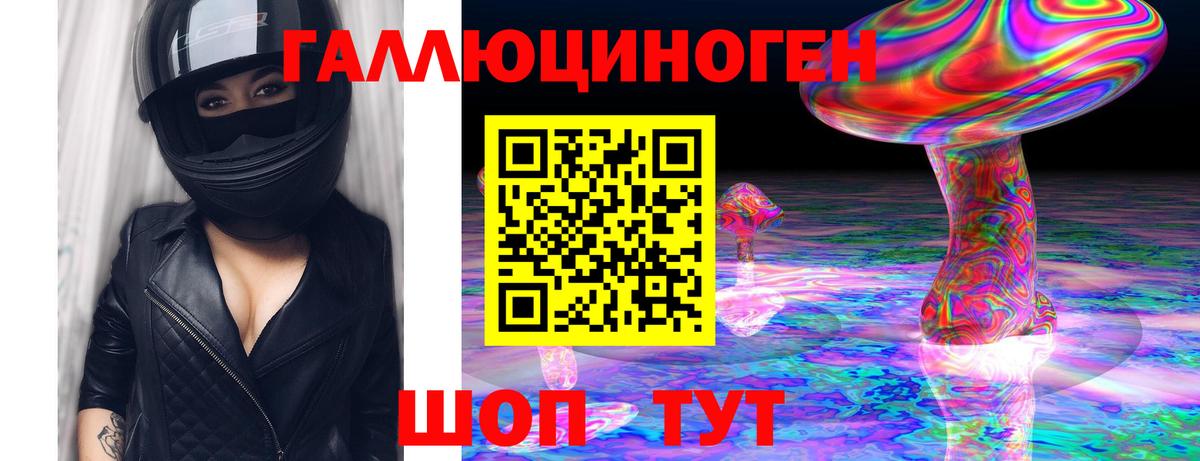 Псилоцибиновые грибы прущие грибы  Вход с VPN  Сунжа 